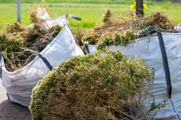  Canby, MN Junk Removal Pros